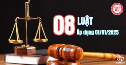 08 Luật mới có hiệu lực áp dụng từ ngày 01/01/2025