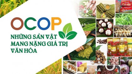 Hoài Đức có 95 sản phẩm được công nhận đạt tiêu chuẩn OCOP